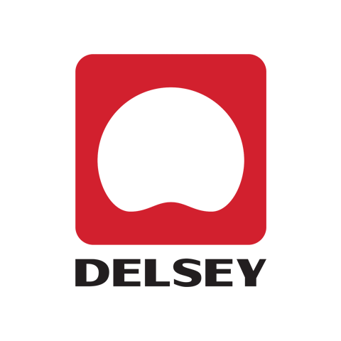 Delsey 法国大使 logo