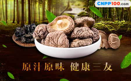 三友香菇t2图片