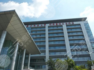 华中科技大学同济医学院医院