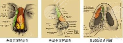 膨体隆鼻