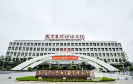 南方医科大学南方医院植发果图