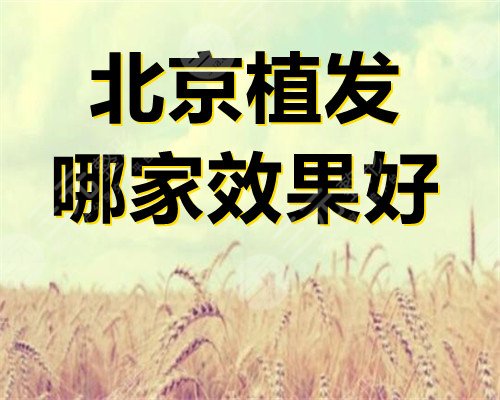 北京植发哪家效果好