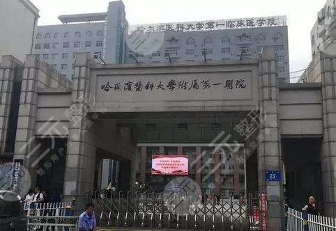 哈尔滨医科大学附属第一医院