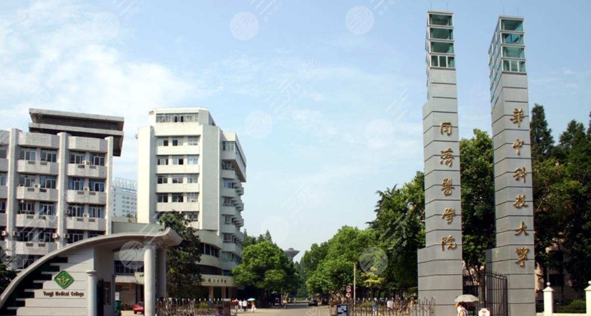 华中科*大学同济*学院