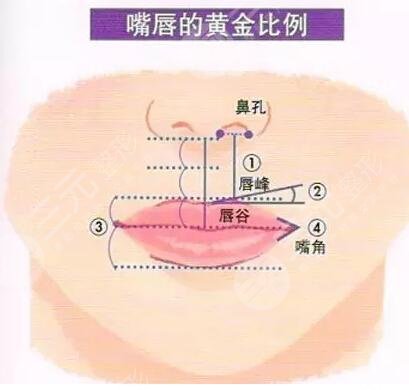 唇形整形矫正后的效果