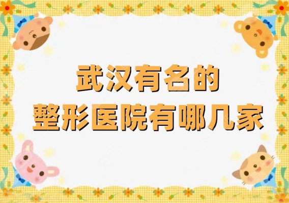 武汉有名的整形医院有哪几家？这5家私立拥有较好口碑