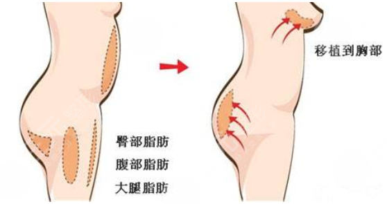 北京冯斌擅长项目科普