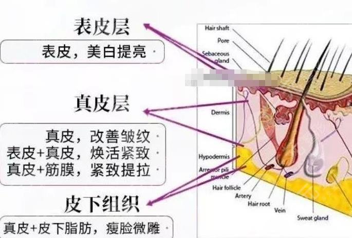 5gmax极速提拉年龄层次