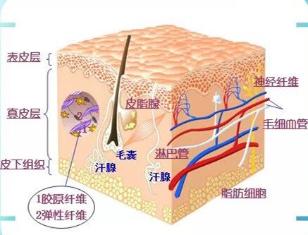 水光补水