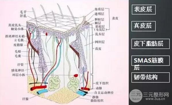 面部放松和衰老的其他问题