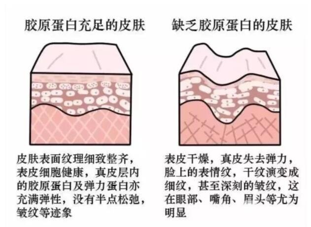 治疗建议：