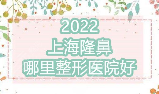 2024上海隆鼻哪里整形医院好