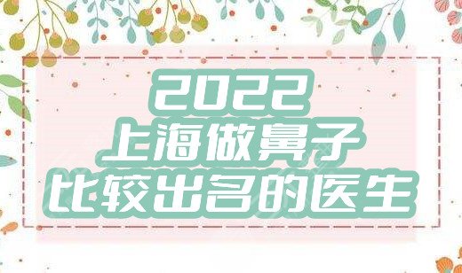 2024上海做鼻子比较出名的医生