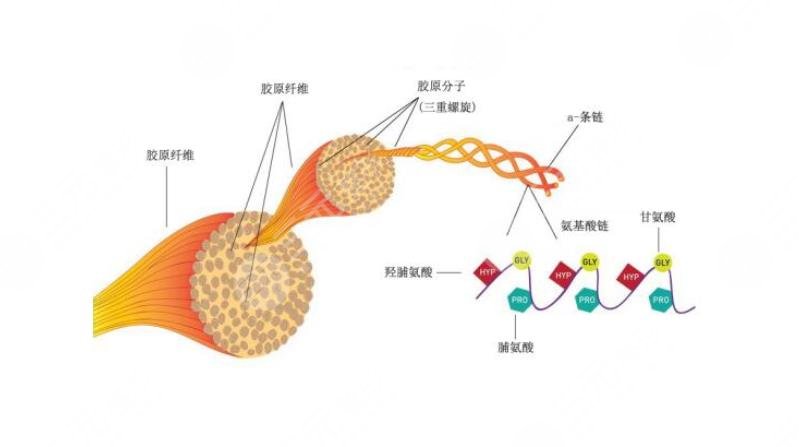 嘴角明X皱纹改善方式注射美容