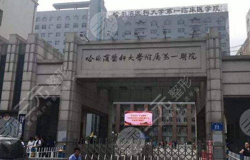 哈尔滨医科大学附属第一医院