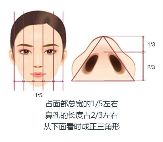 鼻翼缩小手术果维持时间