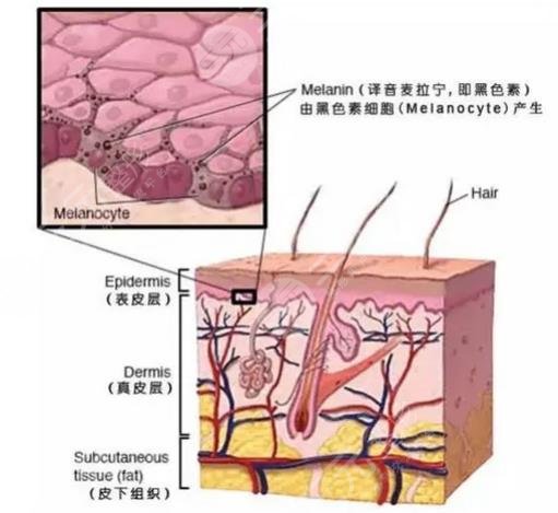 祛斑美白