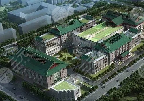 中国医学科学院整形外科医院