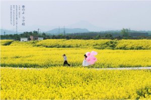 南京婚纱摄影哪家好