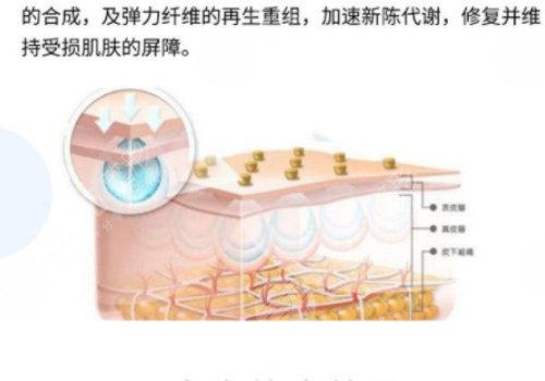 水光补水功效与作用是什么？