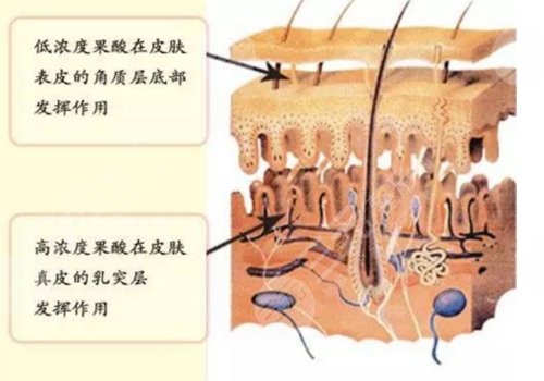 双美胶原蛋白填充多少钱一支？