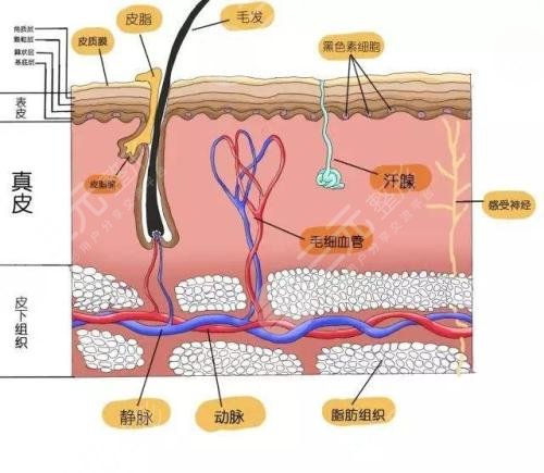 红光治疗痤疮几次见?